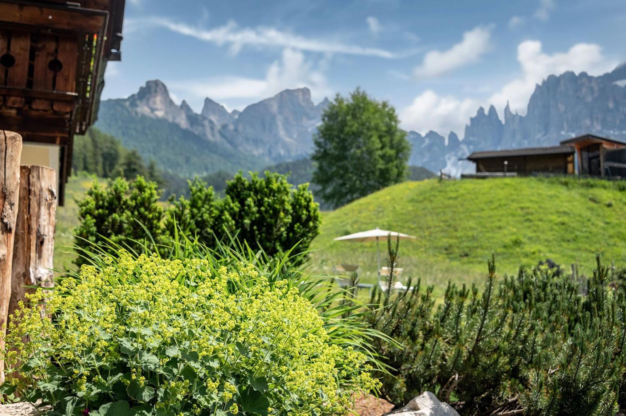 Hotel Dosses Tiers am Rosengarten Exterior foto